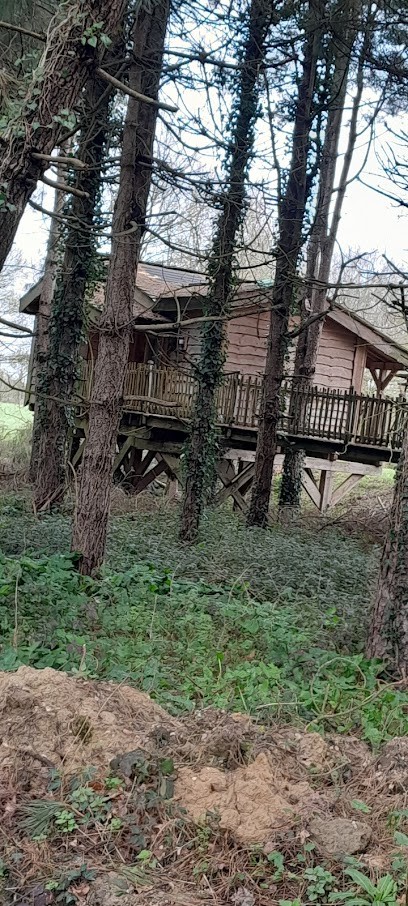 Chambre D'hôtes Les Glycines à Ste-Pazanne, Chambre d'Hôtes à Sainte-Pazanne