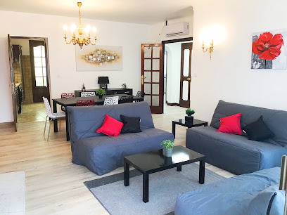 Appartement Le Soleil 140 M2 Climatisé Parking Privé Proche Sanctuaires Location De Vacances à Lourdes