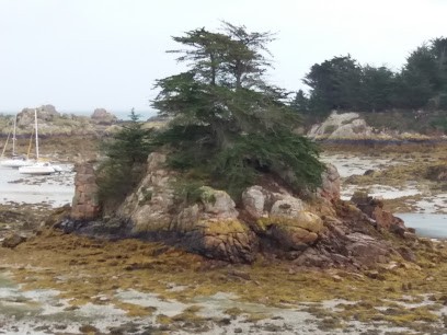 Le Refuge Des Elfes, Chambre d'Hôtes à Île-de-Bréhat