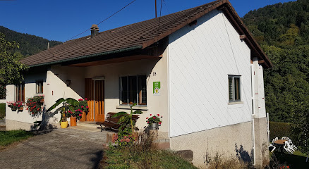 Gite Les Noyers Du Wissbach, Location De Vacances à Willer-sur-Thur