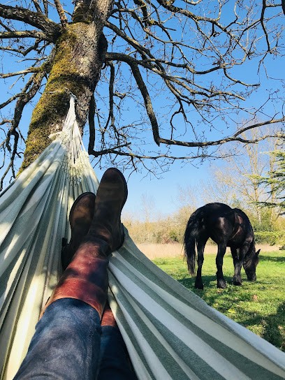 Ranch du Roc, maisons de vacances et gîte équestre, Maison d'Hôtes à Monteils