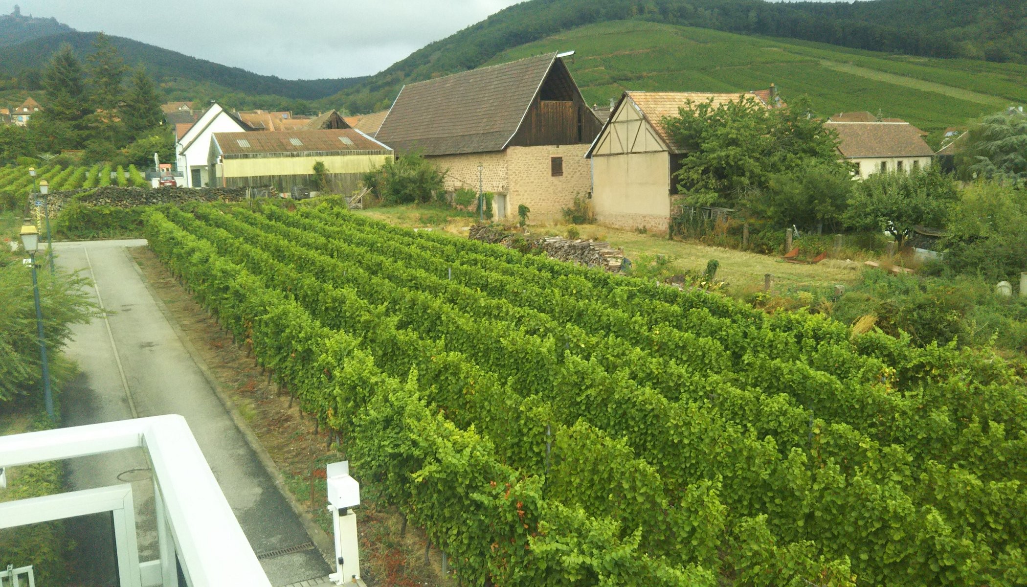 Au Coeur Du Vignoble, Chambre d'Hôtes à Orschwiller