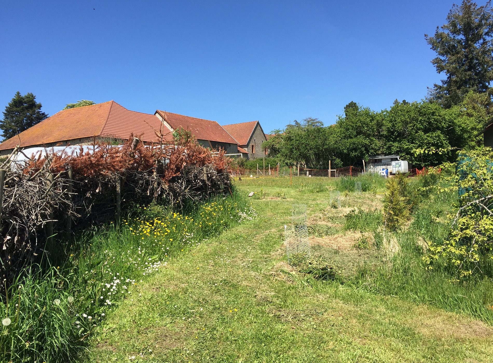 Chambres et table d’hôtes camping Le Vieil Hôtel, Chambre d'Hôtes à Crocq