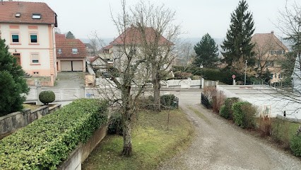 Le Bacchus d'Altkirch, Chambre d'Hôtes à Altkirch