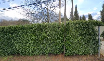 La Borie, Location de Vacances à Frayssinet-le-Gélat