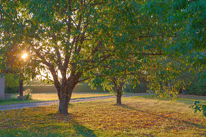 Cœur Des Ondes Location De Vacances à Saint-Georges