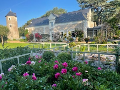 Le Moulin Neuf, Chambre d'Hôtes à Denée
