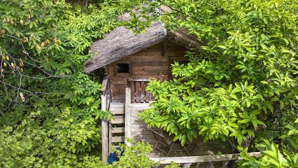 Cévennes Insolites, Hébergements Et Séjours En Cabane Perchée, Gîtes Et Bulle Insolites, Yoga Et Massages, En Cévennes, Location de Vacances à Peyrolles