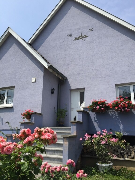 Les mésanges de l'Ill, Chambre d'Hôtes à Andolsheim