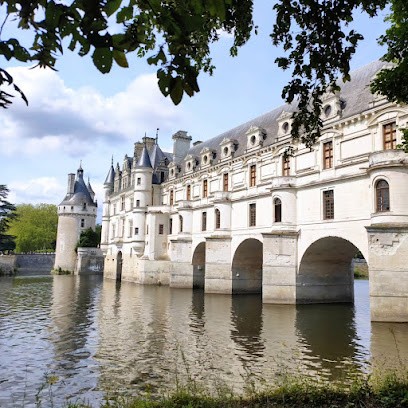 les mésanges, Chambre d'Hôtes à Montrichard Val de Cher