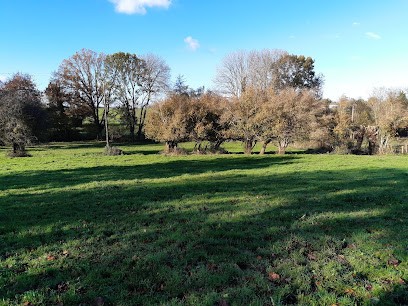 Les Lodges De L'Aubertière, Location de Vacances à L'Absie