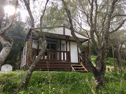 Location Campomoro In Dè Marcucciu É Pitrina, Chambre D'hôtes à Belvédère-Campomoro