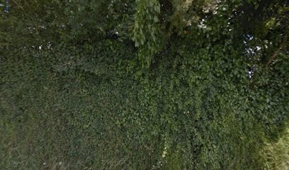 Foret Chicot Annick Antoinette El, Chambre d'Hôtes à Juaye-Mondaye