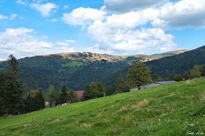 Ferme Auberge Landersen, Chambre d'Hôtes à Sondernach