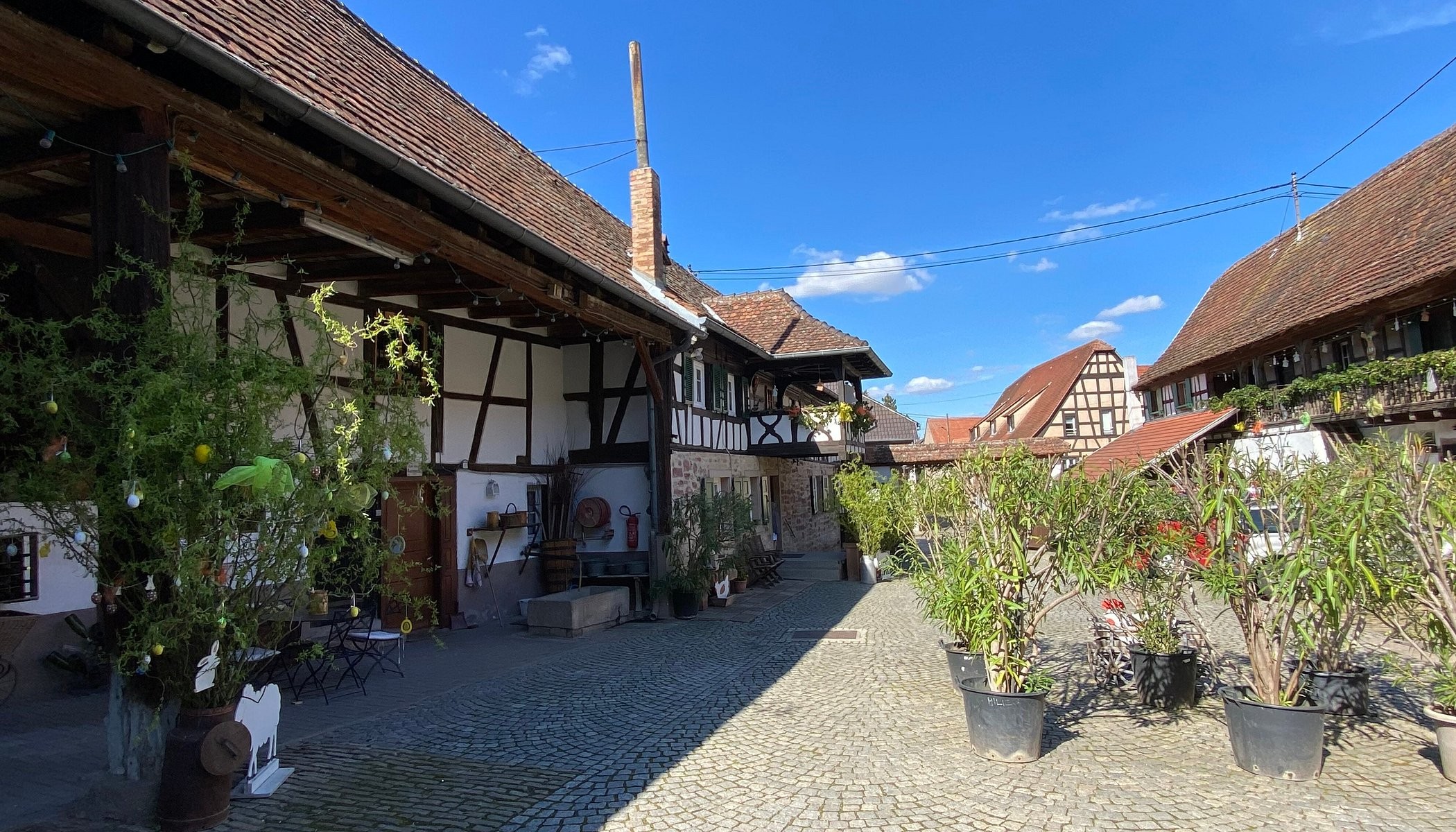Chambres D'hôtes De Charme à La Ferme Freysz, Chambre d'Hôtes à Quatzenheim