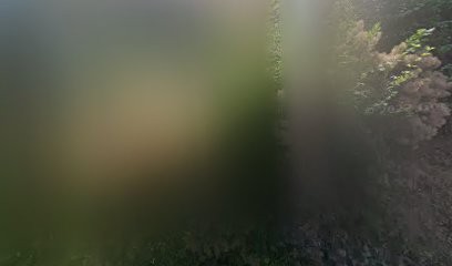 Sarl Agape Odile Ougier, Chambre d'Hôtes à Menthon-Saint-Bernard