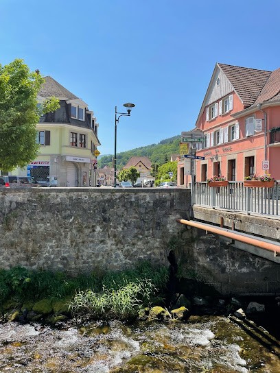 Les Gîtes De Sylvie Et Philippe, Location de Vacances à Metzeral
