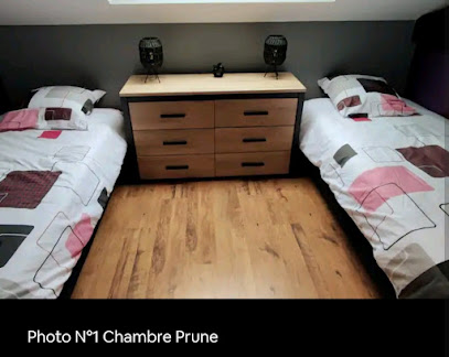 Gite Le Bressaud: Location Gîte Et Appartement À La Bresse ,Au Cœur Des Hautes Vosges, Domaine Skiable, Proche De Gérardmer, Location De Vacances à la Bresse