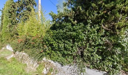 La Bouhoque, Chambre d'Hôtes à Courrensan