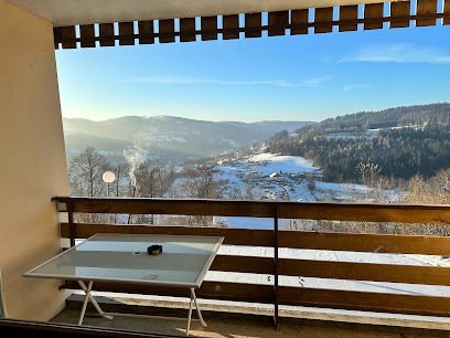 Le Nichoir, Location De Vacances au Tholy