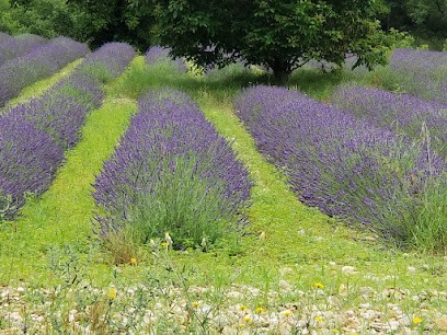 La Provence vous attend 1er étage !!!!, Location de Vacances à Digne-les-Bains
