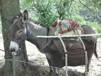Le Gîte du Viala, Chambre d'Hôtes à Ventalon en Cévennes