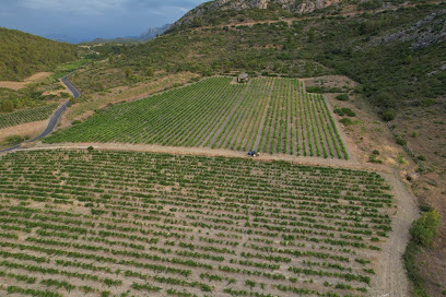 Gîte Pierre Pelou Vigneron, Location De Vacances à Tautavel