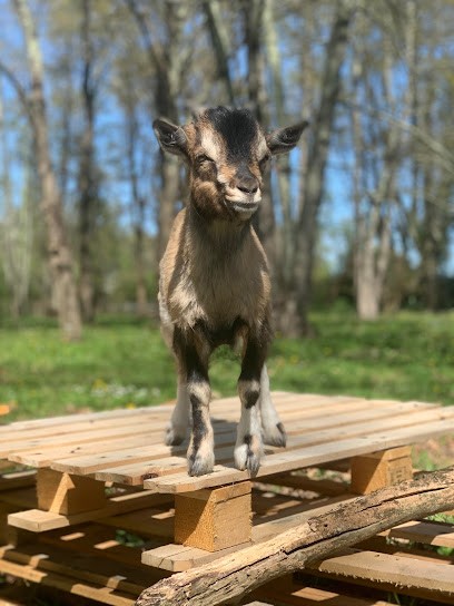 Domaine De Barreyre, Chambre d'Hôtes à Sainte-Terre