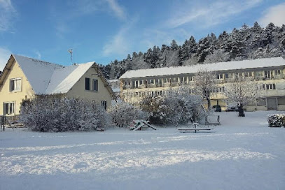 Les Elfes "Location De Vacances" De 2 À 4 Personnes Ou 2 À 12 Personnes, Location De Vacances à Murol