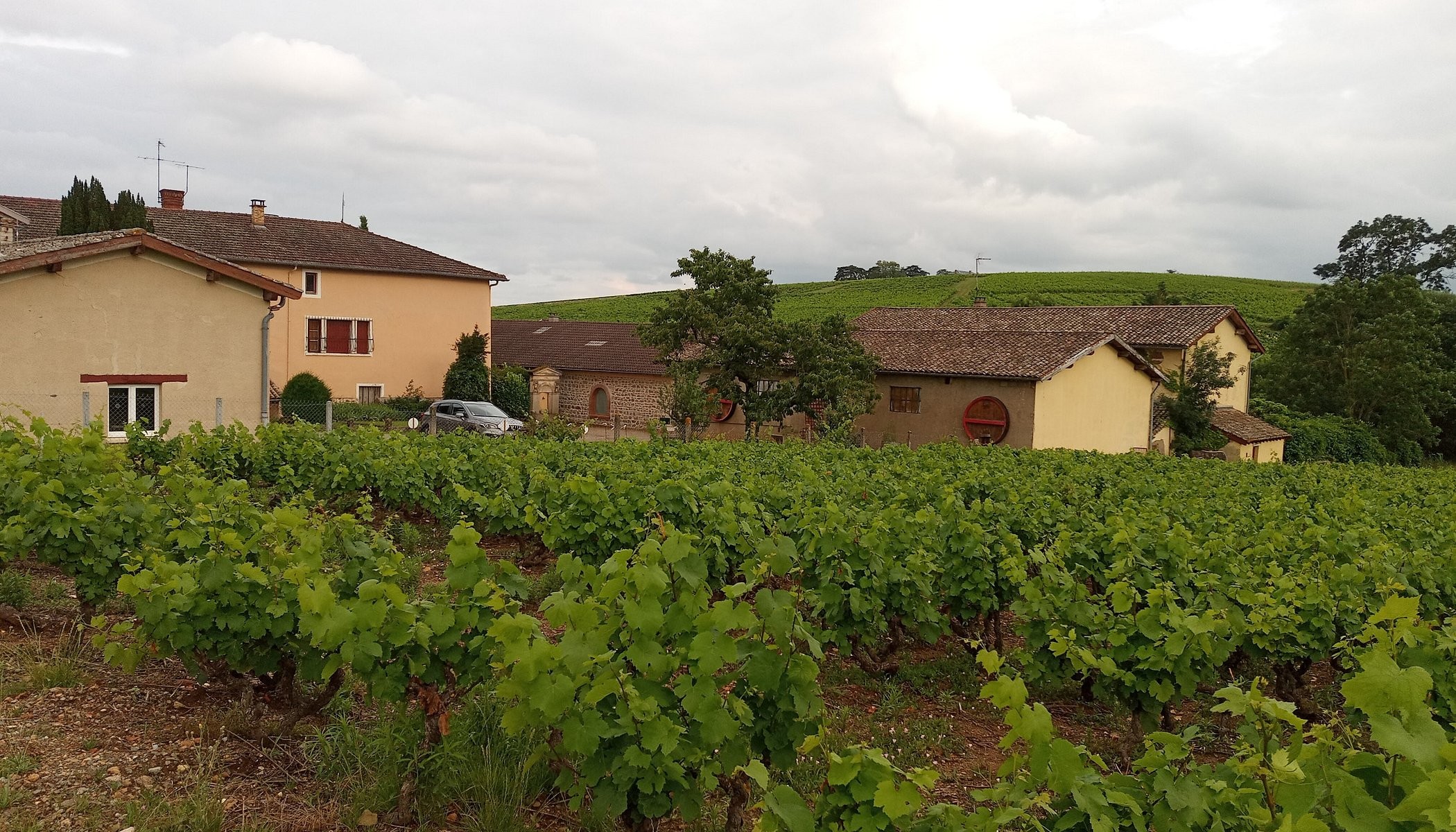 La Maison des Vignes, Maison d'Hôtes à Charentay