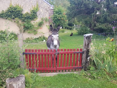 Le Clos De La Canardière, Chambre d'Hôtes à Savigny-sur-Braye