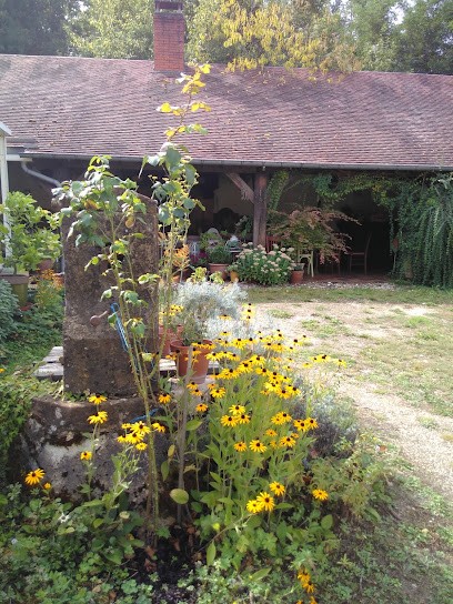 Coté verger, Chambre d'Hôtes à Menetou-Couture