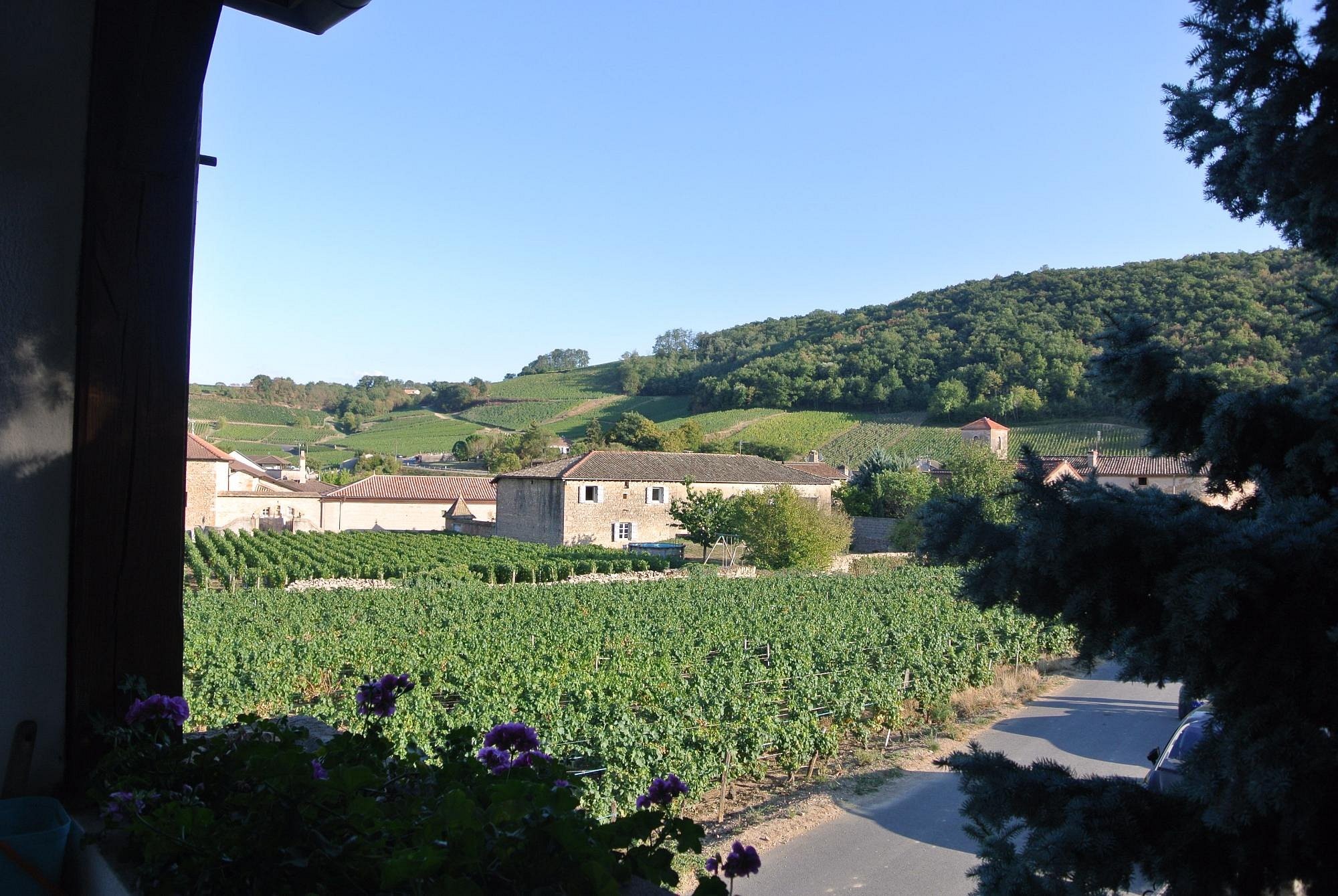 La maison des Prouges, Maison d'Hôtes à Fuissé