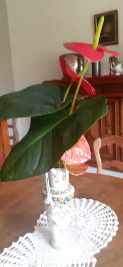 Les Paillards, Chambre d'Hôtes à Moutiers-en-Puisaye