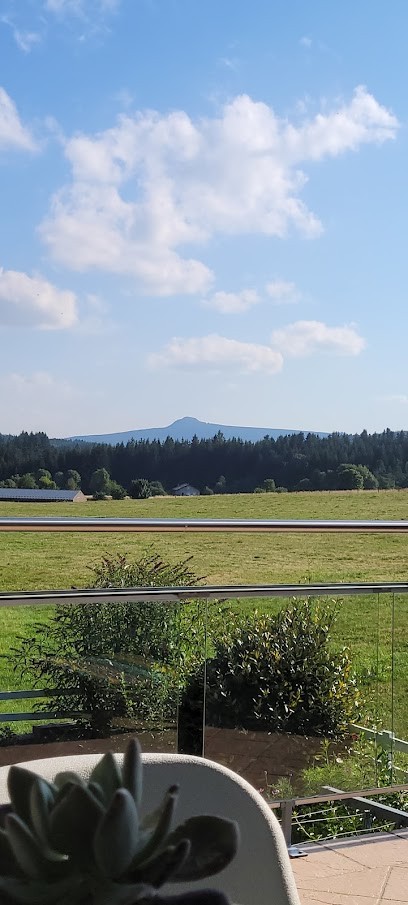 gite chez juliette, Location de Vacances à Chenereilles