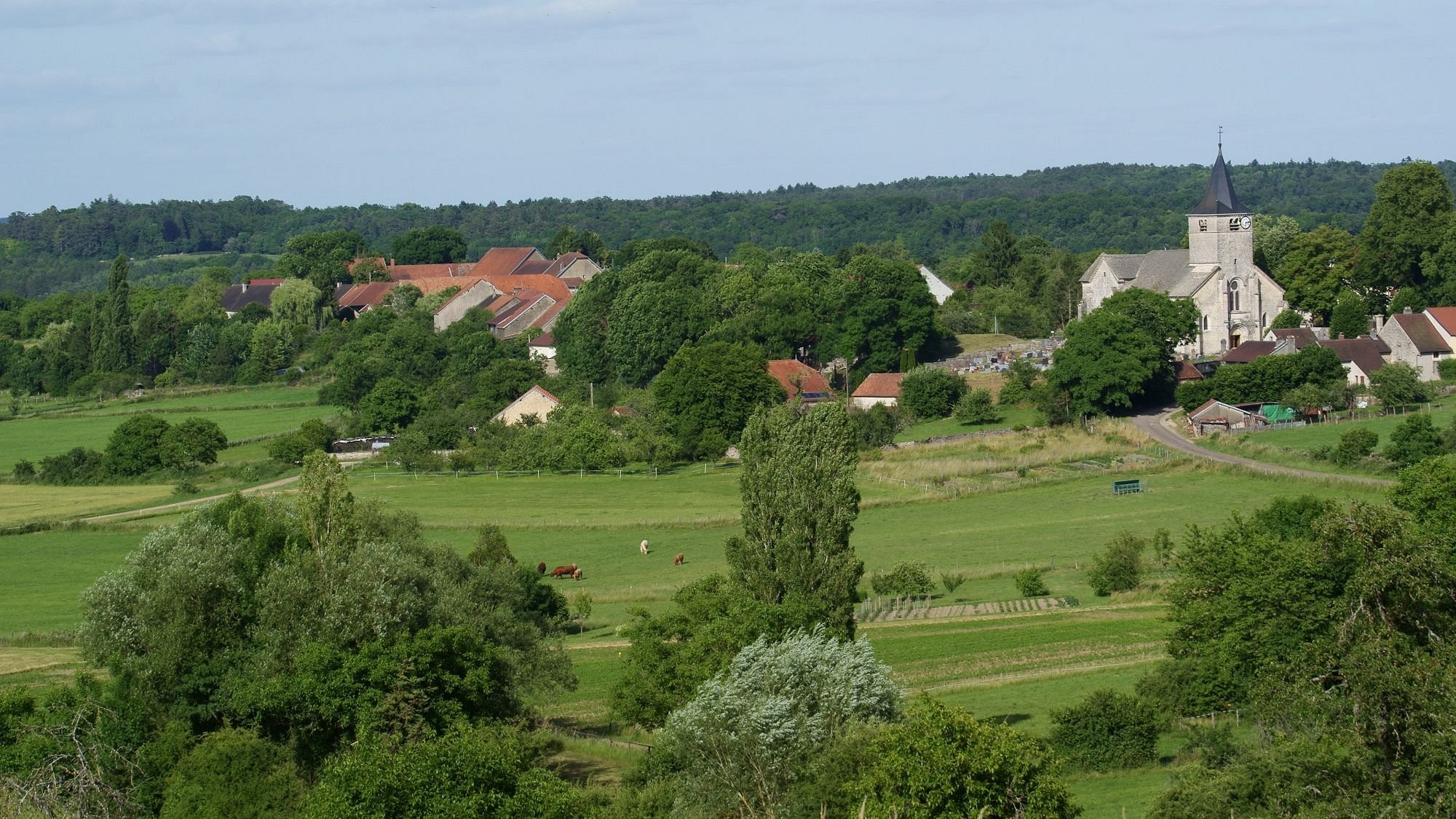 Les Champs Penets, Chambre d'Hôtes à Sacquenay