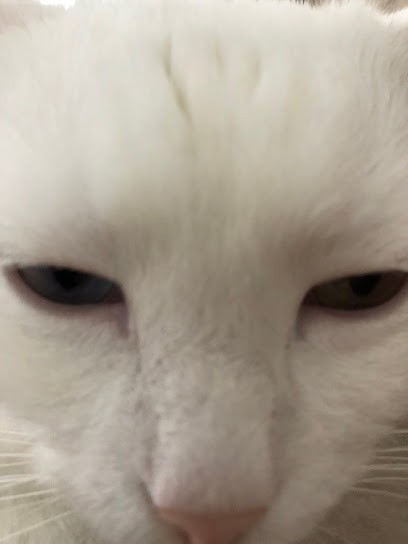 Casa Boris, Maison d'Hôtes à Râches