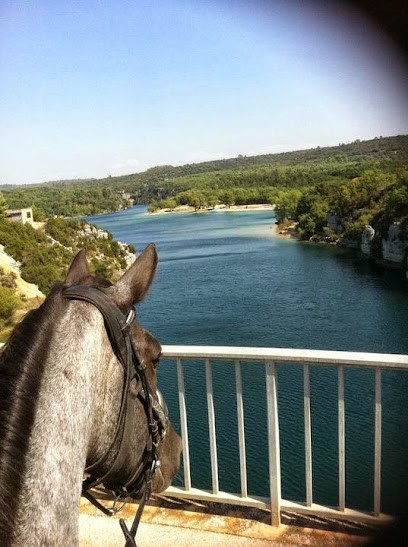 RANCH DU PUITS DE RIQUIER : gîte d'étape cabanes tipis Var Verdon Relais équestre éco-lieu, Chambre d'Hôtes à Régusse