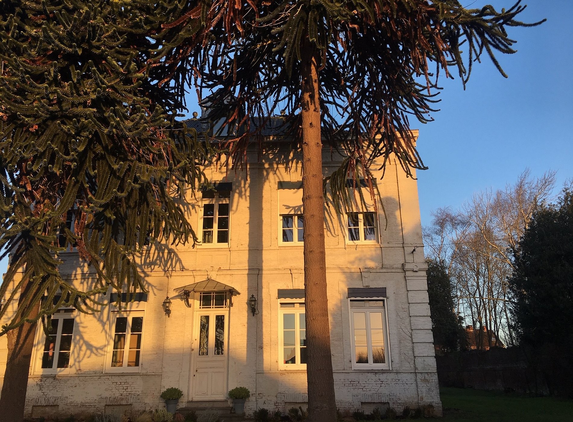 Domaine des Araucarias, Chambre d'Hôtes à Lillers