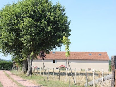Le clos des cystèles Chambres d'hôtes, Chambre d'Hôtes à La Bénisson-Dieu