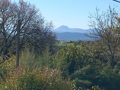 Gite L'hirondelle Et La Tourterelle En Auvergne, Location De Vacances à Champs
