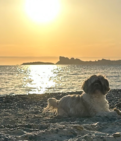 La Conciergerie De Julie ️, Location De Vacances à Saint-Cyr-sur-Mer