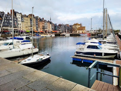 Leclair Logis : Gîte et Chambres d'hôtes à la campagne, Pays de Caux, proche Honfleur et Étretat, Seine-Maritime, Maison d'Hôtes à Étainhus