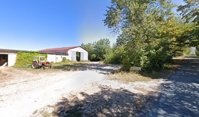 Anes à Chroniques, Chambre d'Hôtes à Tourtoirac