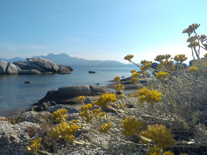 Villa Cutalello Coté Mer Sant Ambroggio, Location De Vacances à Lumio