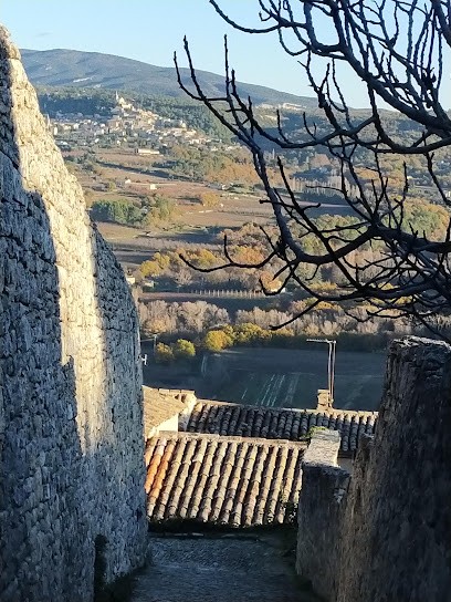 Tendance Sud, Location de Vacances à Lacoste