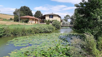 MOULIN DU FAY Gîte Et Chambres D'hôtes, Chambre d'Hôtes à Villemotier
