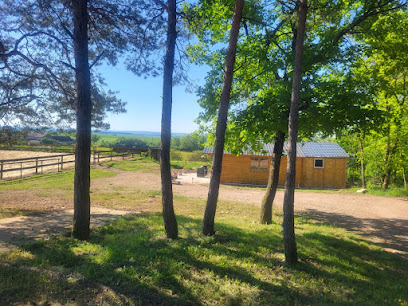 Chalets Des Pins Chambre D'hôtes à Vermenton