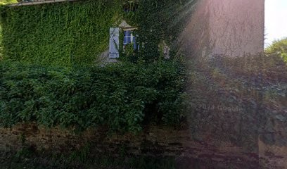 Maison De Massey, Chambre d'Hôtes à Passavant-la-Rochère