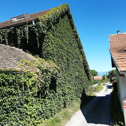 Villa plage Chantrell, Chambre d'Hôtes à Anthy-sur-Léman